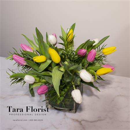 20 Dutch Master Tulips
