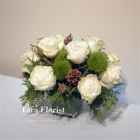Christmas Rose Elegance White