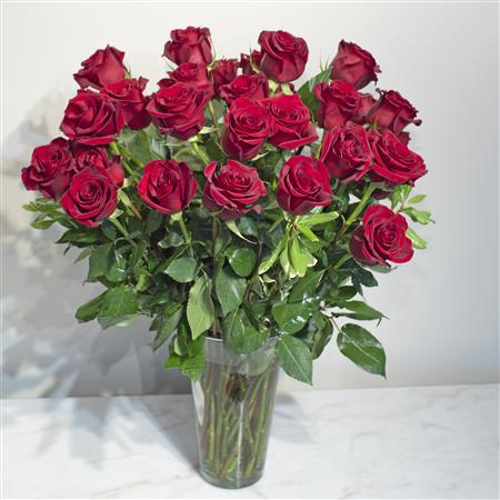 Three Dozen Long Stem - Tara Florist Exclusive