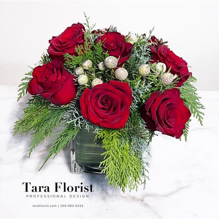 Adoring Christmas Roses