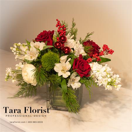 Feature -  Christmas Memories of Tiscornia Beach